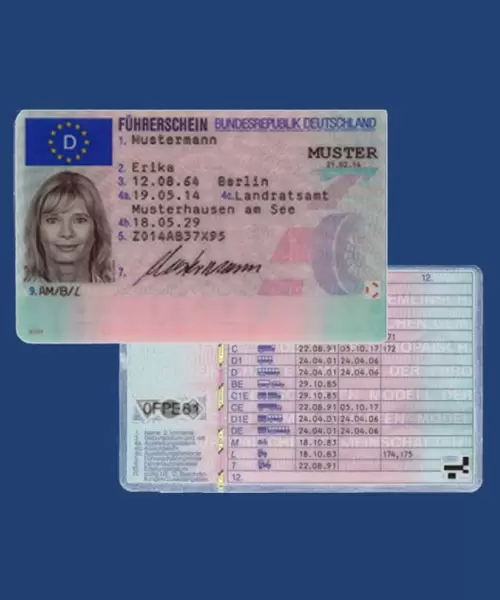 Drivers License's
